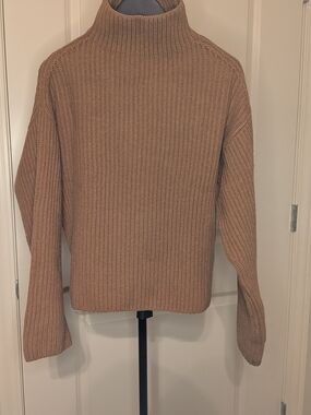 Everlane Ribbed Turtleneck Sweater in Brown